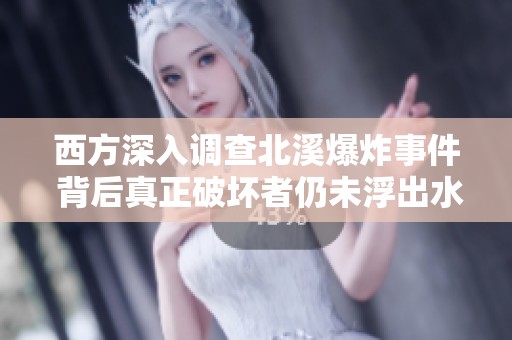 西方深入调查北溪爆炸事件 背后真正破坏者仍未浮出水面