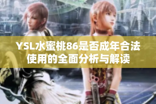 YSL水蜜桃86是否成年合法使用的全面分析与解读