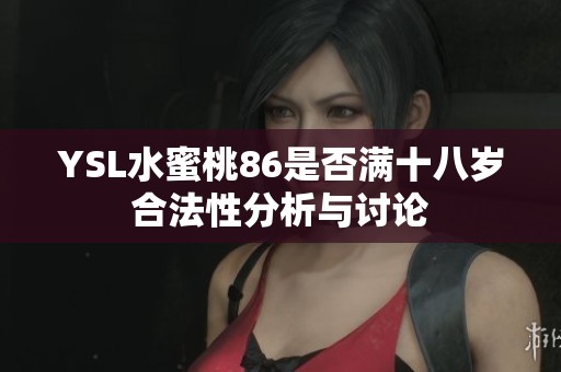 YSL水蜜桃86是否满十八岁合法性分析与讨论