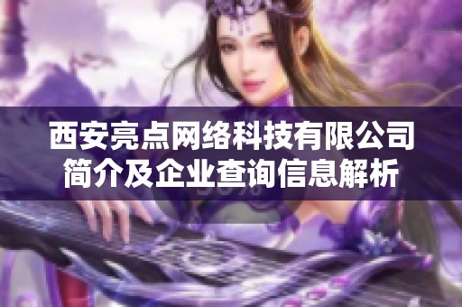 西安亮点网络科技有限公司简介及企业查询信息解析
