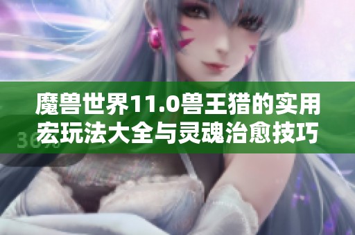 魔兽世界11.0兽王猎的实用宏玩法大全与灵魂治愈技巧