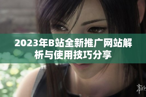 2023年B站全新推广网站解析与使用技巧分享
