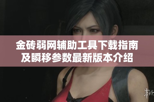 金砖弱网辅助工具下载指南及瞬移参数最新版本介绍