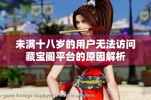 未满十八岁的用户无法访问藏宝阁平台的原因解析