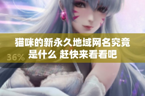 猫咪的新永久地域网名究竟是什么 赶快来看看吧