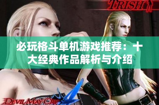必玩格斗单机游戏推荐：十大经典作品解析与介绍