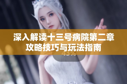 深入解读十三号病院第二章攻略技巧与玩法指南