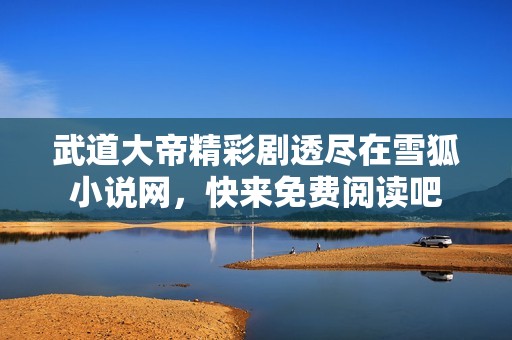 武道大帝精彩剧透尽在雪狐小说网，快来免费阅读吧