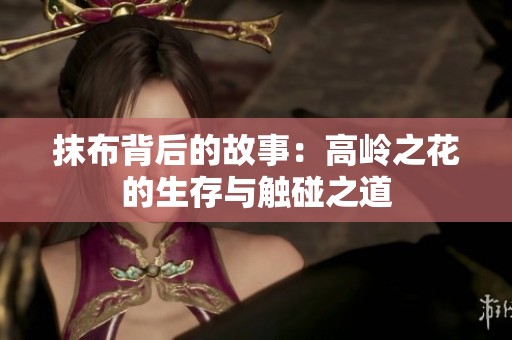 抹布背后的故事：高岭之花的生存与触碰之道