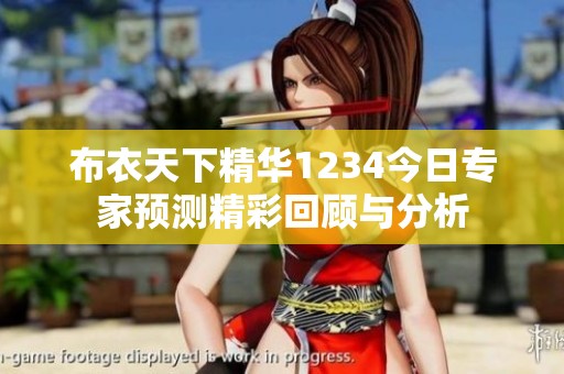 布衣天下精华1234今日专家预测精彩回顾与分析