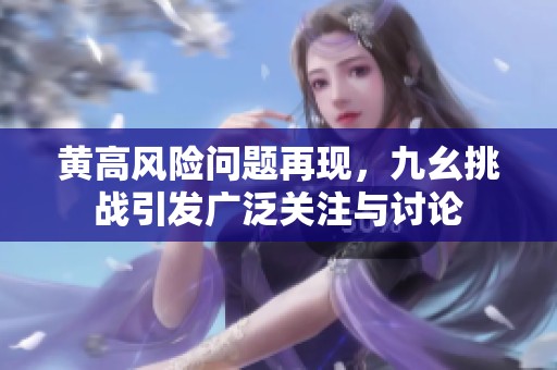 黄高风险问题再现，九幺挑战引发广泛关注与讨论