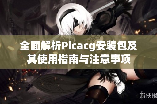 全面解析Picacg安装包及其使用指南与注意事项