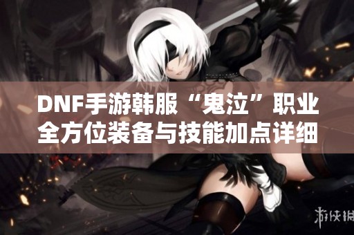 DNF手游韩服“鬼泣”职业全方位装备与技能加点详细指南
