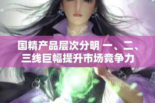 国精产品层次分明 一、二、三线巨幅提升市场竞争力