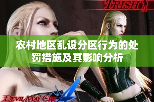 农村地区乱设分区行为的处罚措施及其影响分析