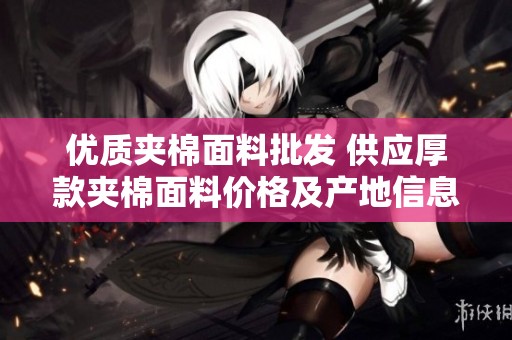 优质夹棉面料批发 供应厚款夹棉面料价格及产地信息