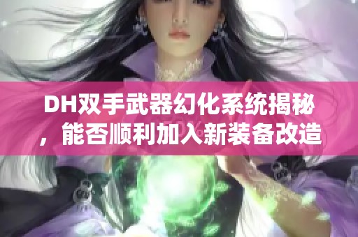 DH双手武器幻化系统揭秘，能否顺利加入新装备改造？