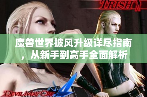 魔兽世界披风升级详尽指南，从新手到高手全面解析