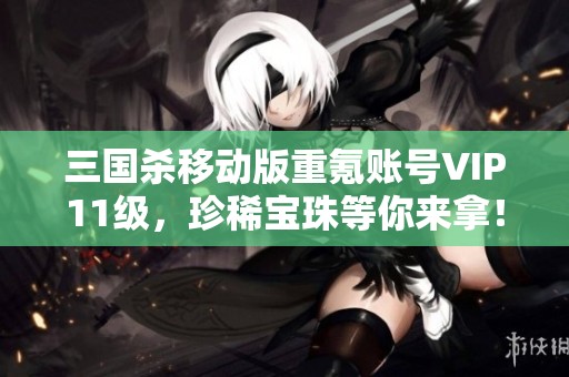 三国杀移动版重氪账号VIP11级，珍稀宝珠等你来拿！