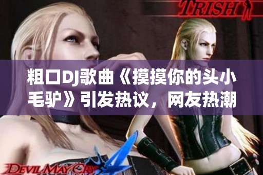 粗口DJ歌曲《摸摸你的头小毛驴》引发热议，网友热潮反响不断