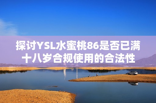 探讨YSL水蜜桃86是否已满十八岁合规使用的合法性