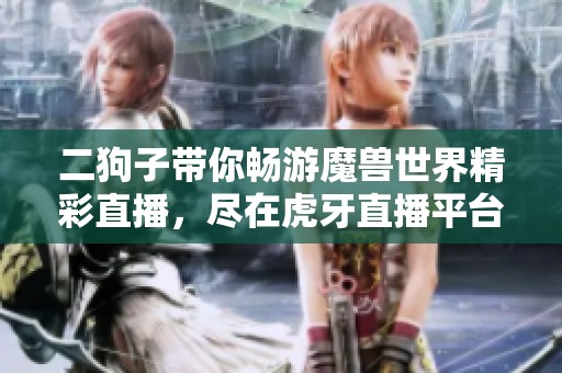 二狗子带你畅游魔兽世界精彩直播，尽在虎牙直播平台