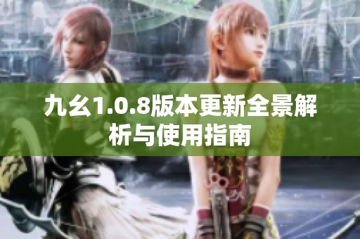 九幺1.0.8版本更新全景解析与使用指南