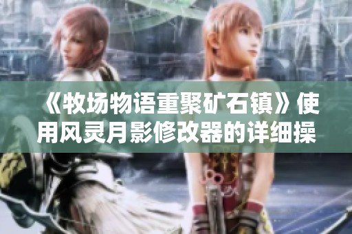 《牧场物语重聚矿石镇》使用风灵月影修改器的详细操作指南