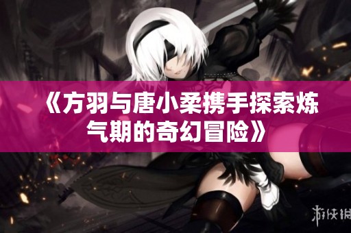 《方羽与唐小柔携手探索炼气期的奇幻冒险》