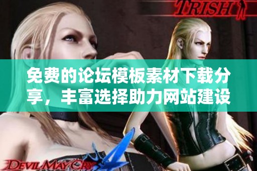 免费的论坛模板素材下载分享，丰富选择助力网站建设