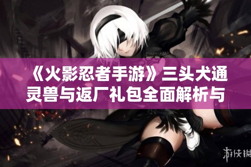 《火影忍者手游》三头犬通灵兽与返厂礼包全面解析与策略分享
