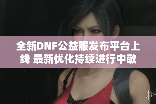 全新DNF公益服发布平台上线 最新优化持续进行中敬请期待