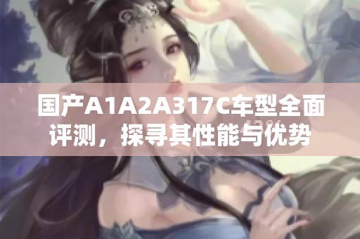 国产A1A2A317C车型全面评测，探寻其性能与优势