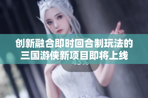 创新融合即时回合制玩法的三国游侠新项目即将上线