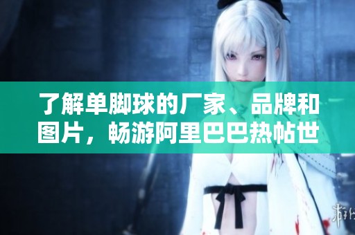 了解单脚球的厂家、品牌和图片，畅游阿里巴巴热帖世界