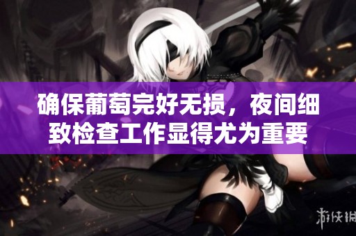 确保葡萄完好无损，夜间细致检查工作显得尤为重要