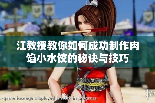 江教授教你如何成功制作肉馅小水饺的秘诀与技巧