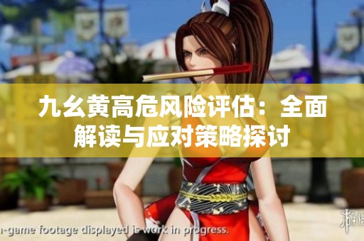 九幺黄高危风险评估：全面解读与应对策略探讨