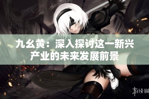 九幺黄：深入探讨这一新兴产业的未来发展前景