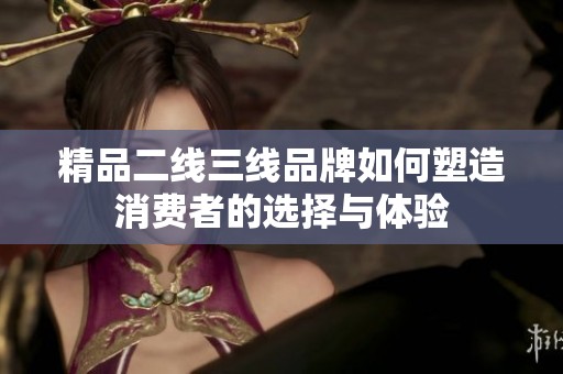精品二线三线品牌如何塑造消费者的选择与体验