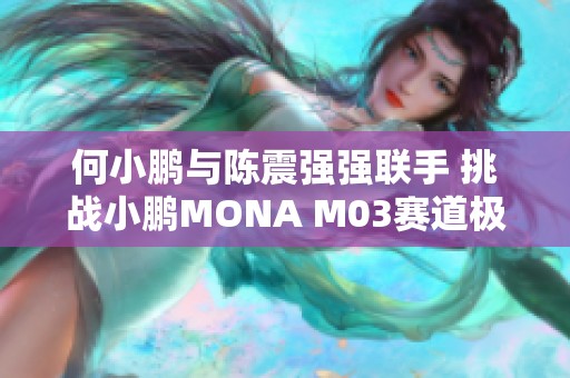 何小鹏与陈震强强联手 挑战小鹏MONA M03赛道极限