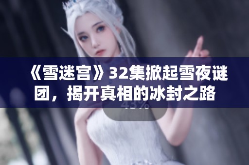 《雪迷宫》32集掀起雪夜谜团，揭开真相的冰封之路