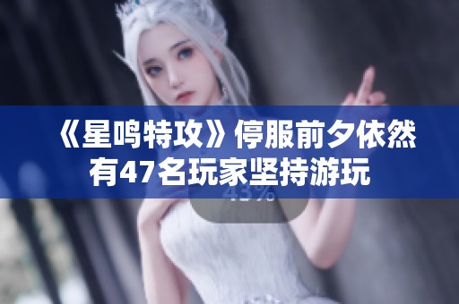 《星鸣特攻》停服前夕依然有47名玩家坚持游玩