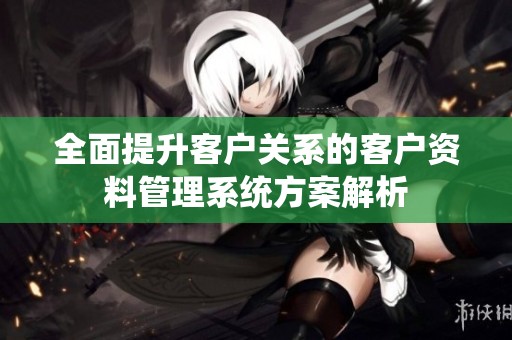 全面提升客户关系的客户资料管理系统方案解析