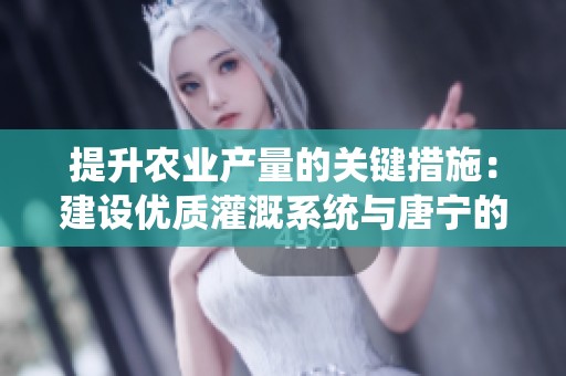 提升农业产量的关键措施：建设优质灌溉系统与唐宁的经验分享