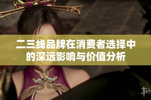 二三线品牌在消费者选择中的深远影响与价值分析