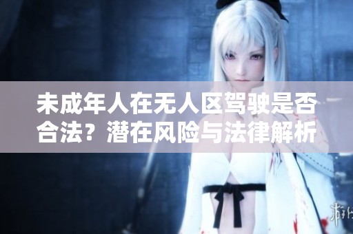未成年人在无人区驾驶是否合法？潜在风险与法律解析