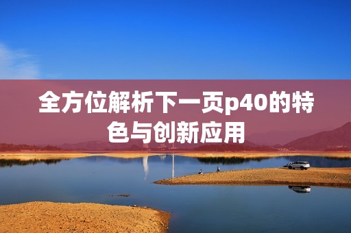 全方位解析下一页p40的特色与创新应用
