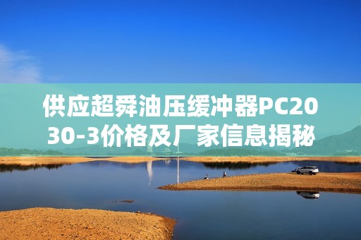 供应超舜油压缓冲器PC2030-3价格及厂家信息揭秘