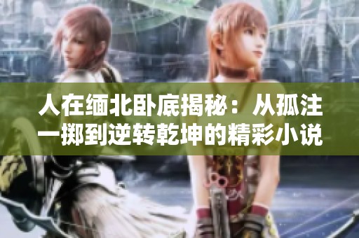 人在缅北卧底揭秘：从孤注一掷到逆转乾坤的精彩小说推荐
